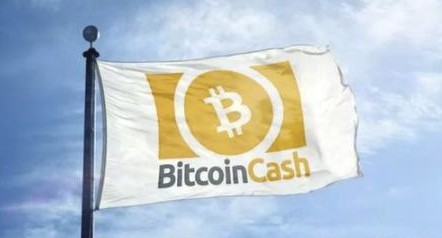 為何比特現金是長期投資的最佳選擇？