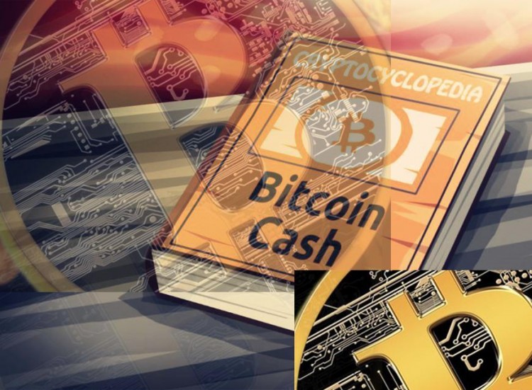 你聽說過比特幣現金嗎？比特幣現金和比特幣有什么不同？