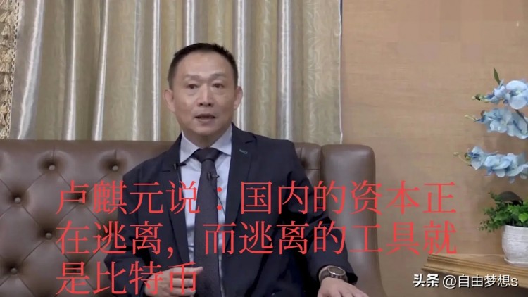 經濟學家盧麒元說：國內資本正在逃避，而逃避的工具就是比特幣！
