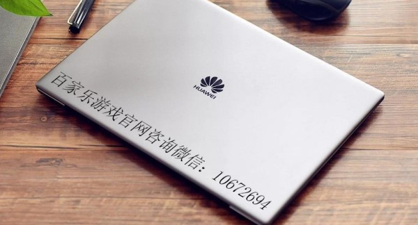 什么是SDT硬幣？