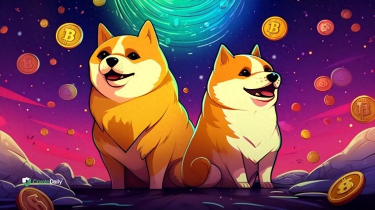 狗狗幣（DOGE）和柴犬（SHIB）比特幣是節(jié)日的兩倍，遠(yuǎn)遠(yuǎn)落后