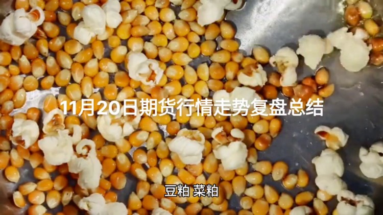 十一月二十日期貨市場走勢復盤總結#投資