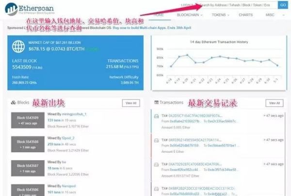 怎樣通過區塊鏈資產地址(數字錢包地址)查看區塊鏈資產(數字貨幣)？