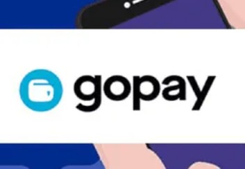 什么是gopay？