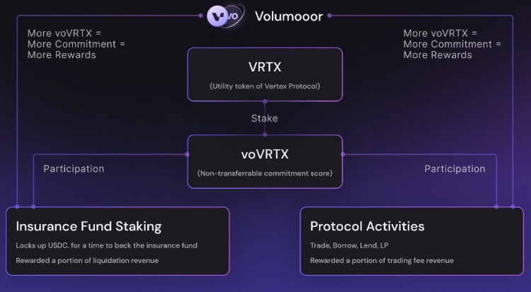 Vertex 流動性拍賣回顧:代幣的初始流動性已經到位,激勵計劃或催生交易熱情