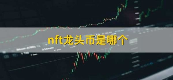 哪一種是nft龍頭幣？