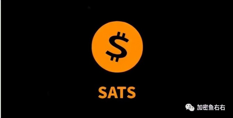 SATS的發展歷程，大戶獲利，贏家分析