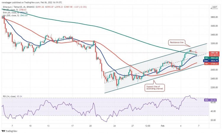 這個星期值得關注 5 大型加密貨幣：BTC、ETH、NEAR、MANA、LEO
