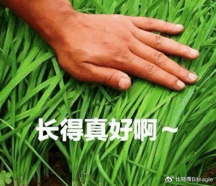 八月份結束九月幣券大事件；發財的機會就在這里。