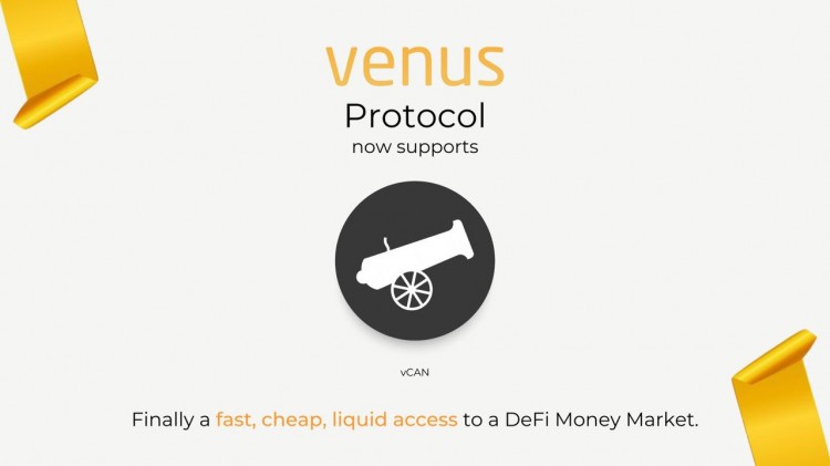 Venus 1.3億美金 BTC 超大羊毛是怎么被擼到手的？