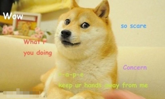 什么是網絡語言doge？