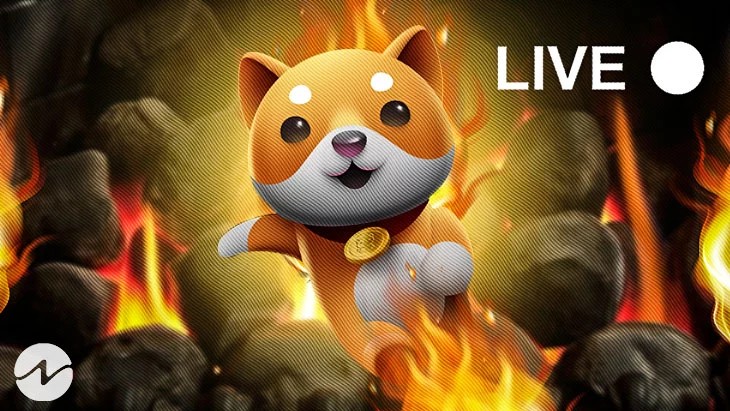 BABYDOGE(寶貝狗)大漲！即將到來 Poloniex 加密貨幣交易所上市交易！