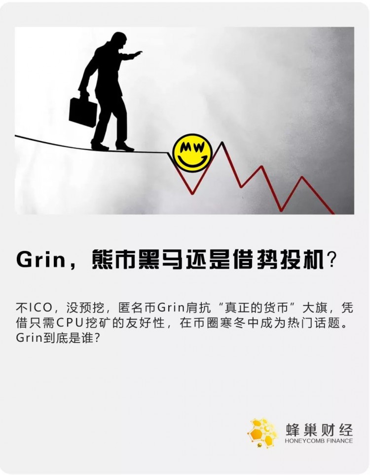 Grin這種匿名貨幣點燃了冷幣圈，能否扛起“真貨幣”的大旗？