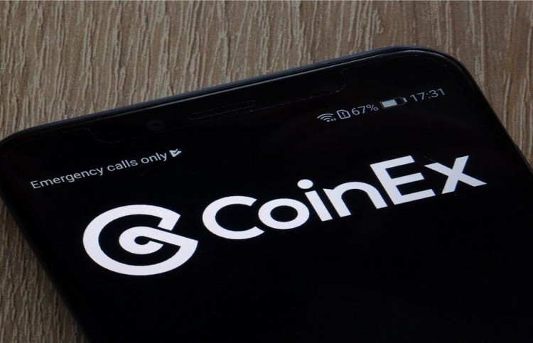 楊海坡，CoinEx創(chuàng)始人：DEX 公共鏈剛剛起步，每一位參與者都在第一線