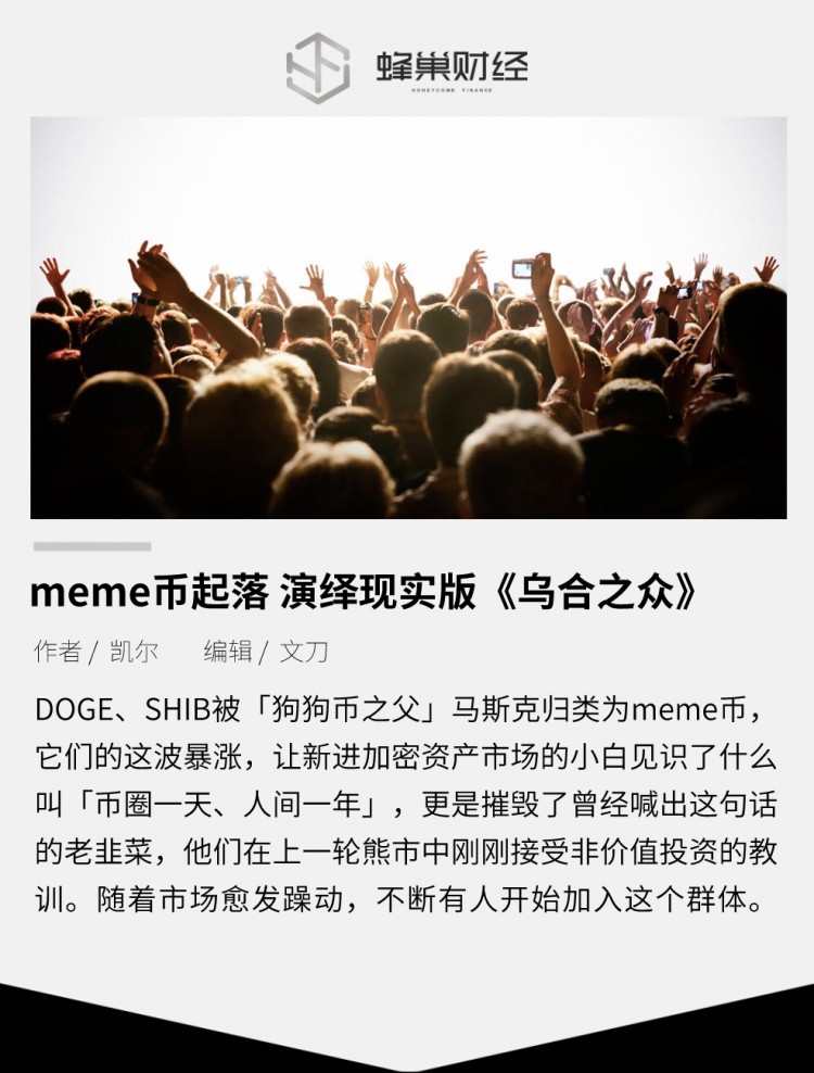 meme幣狂歡：烏合之眾