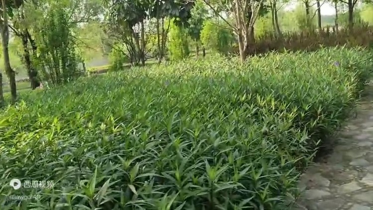 國內對比特幣虛擬貨幣了解不全面，容易掉進詐騙陷阱，開戶...