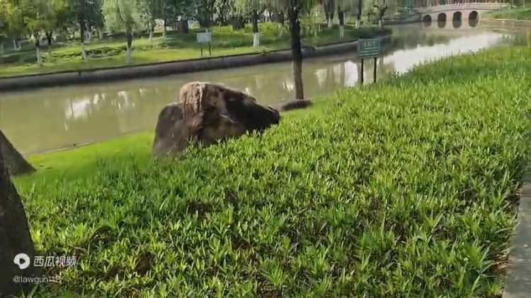 國內對比特幣虛擬貨幣了解不全面，容易掉進詐騙陷阱，開戶...