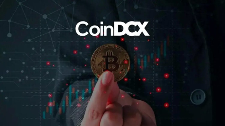 CoinDCX，新加坡加密貨幣交易所 啟動 Web3 模式，提供訪問50,000個代幣的權(quán)限