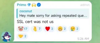 LayerZero劇情反轉，創始人也不知道是誰添加了SSL