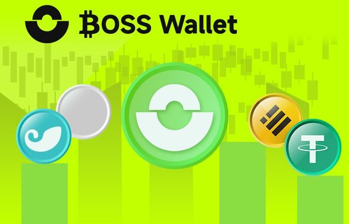 6萬美元的比特幣測試關口_BOSS幫助用戶保護虛擬資產的Wallet(1)