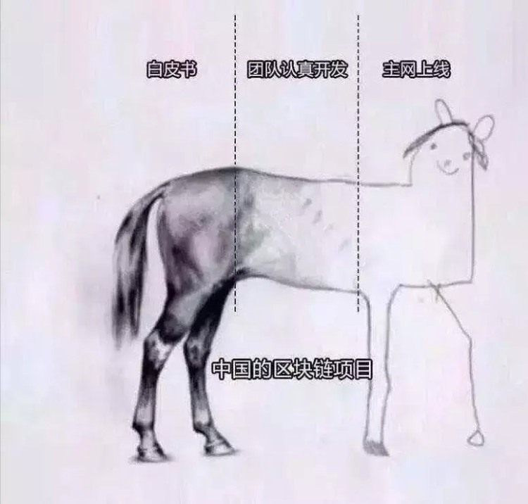 怎樣識別下一個百倍幣？