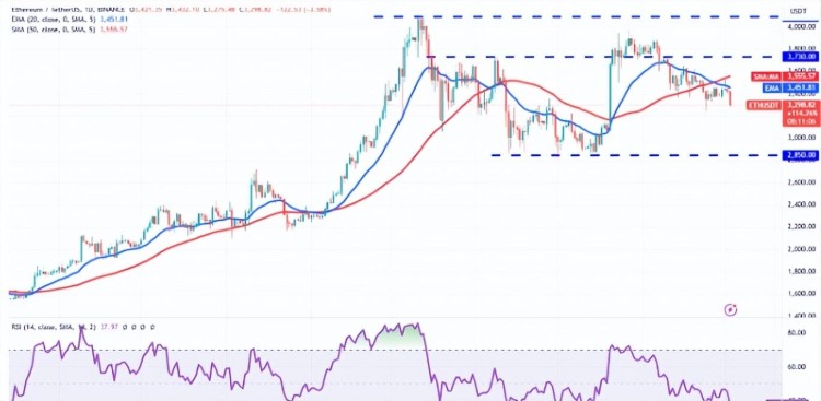 BTC 比特幣 當市場低迷時，企業鯨魚收購了價值 7000 比特幣萬美元