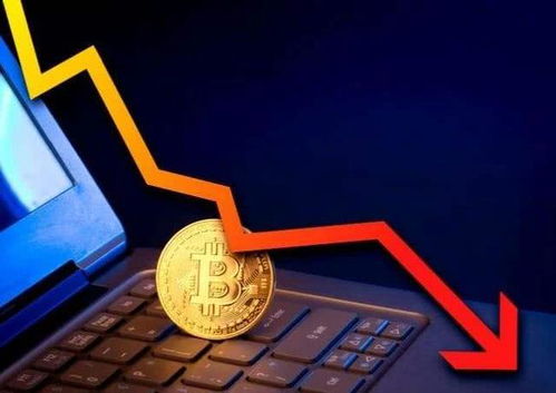 三大美股指數集體高開 三大美股指數集體高開