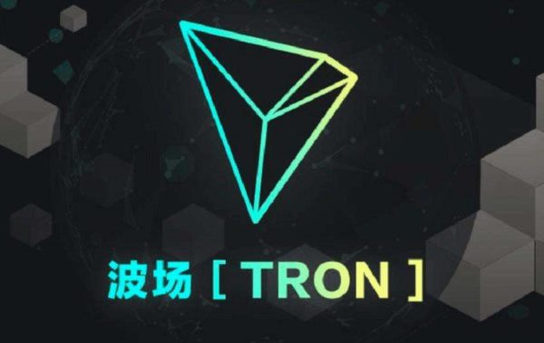 Web3 基金會到Ideal Labs提供資金支持